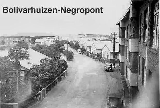 Bolivarhuizen-Negropont