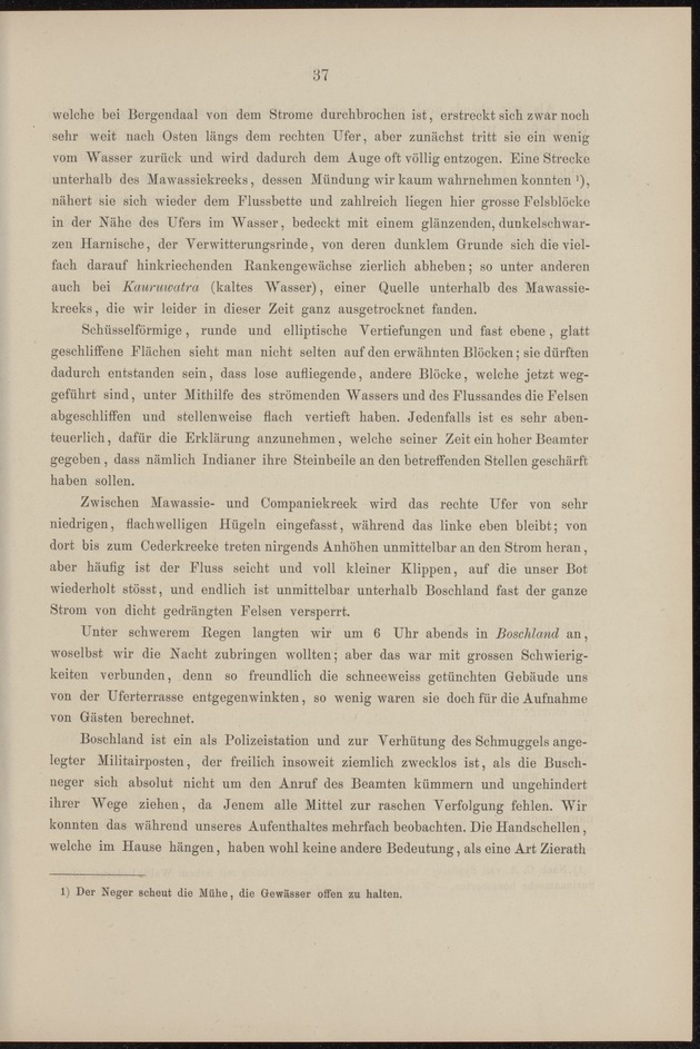 Westindische Skizzen - 