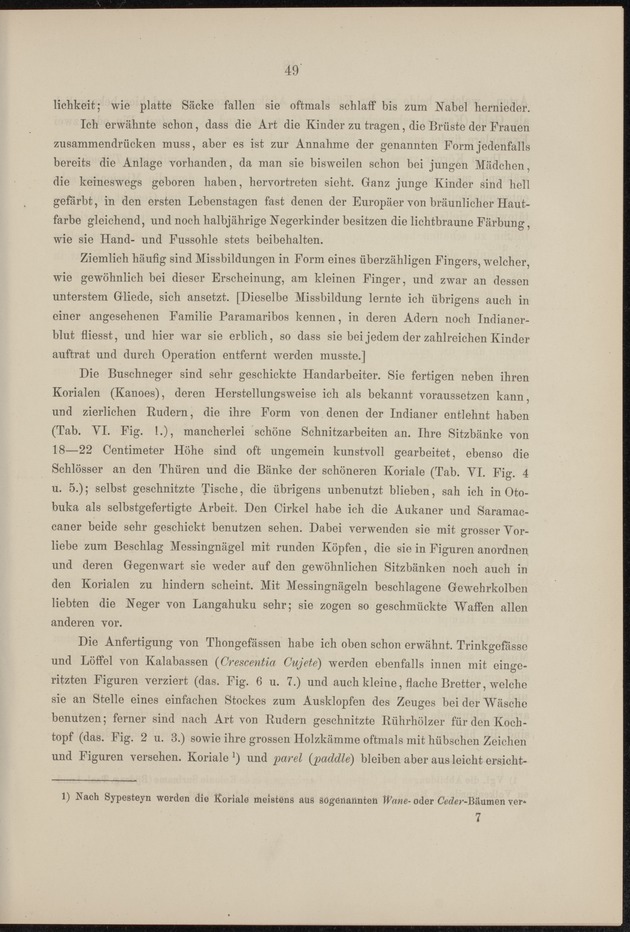 Westindische Skizzen - 