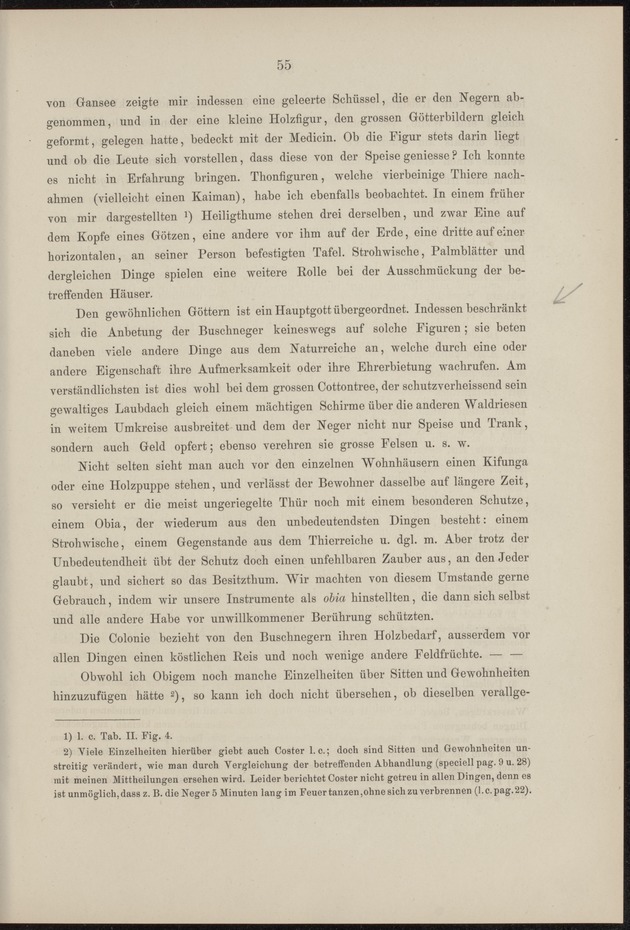 Westindische Skizzen - 