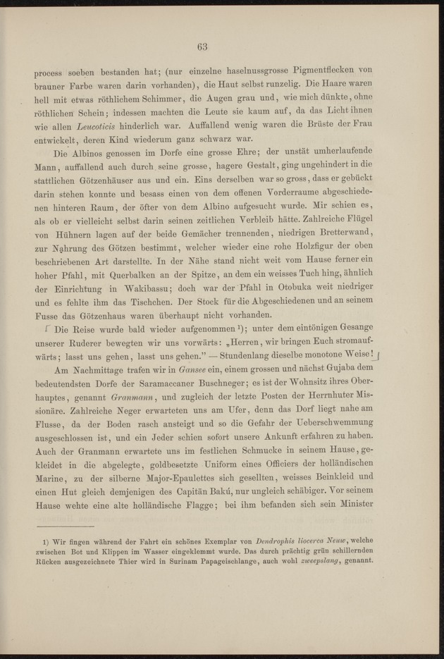 Westindische Skizzen - 
