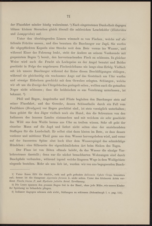 Westindische Skizzen - 