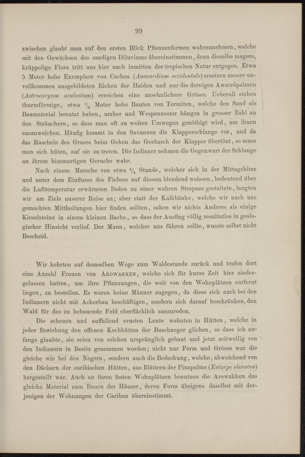 Westindische Skizzen - 