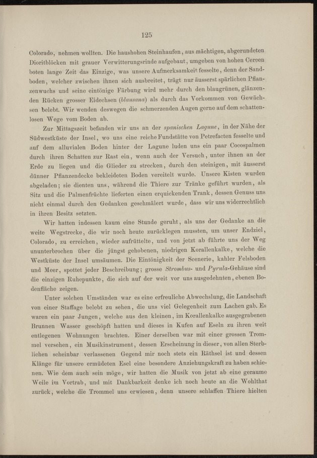 Westindische Skizzen - 