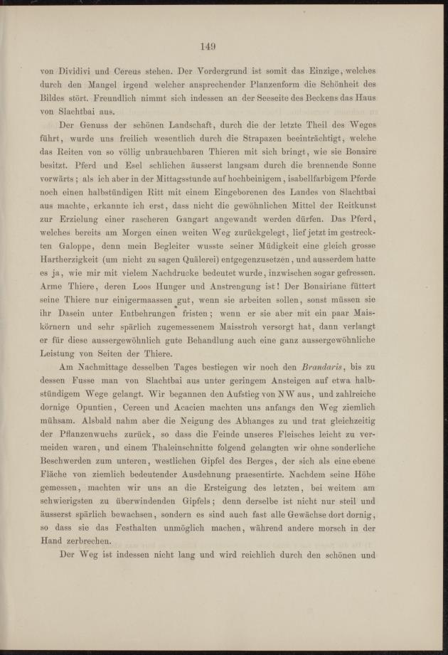 Westindische Skizzen - New Page