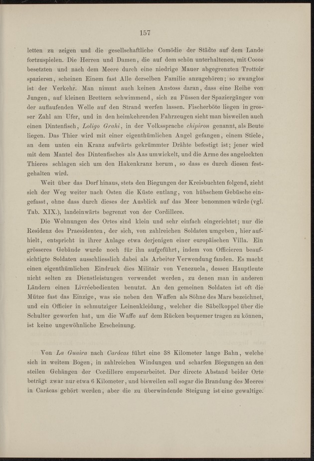 Westindische Skizzen - 