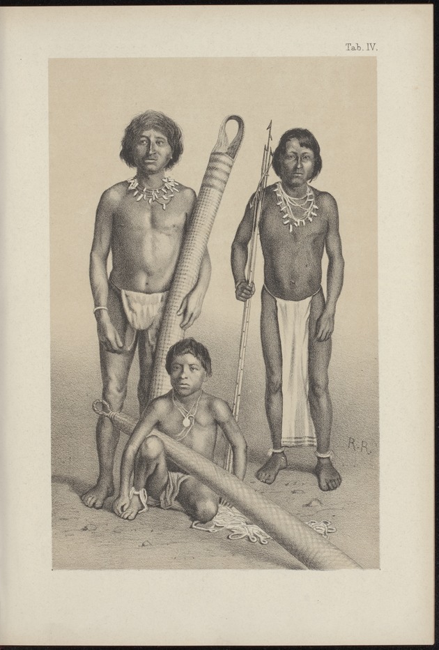 Westindische Skizzen - 