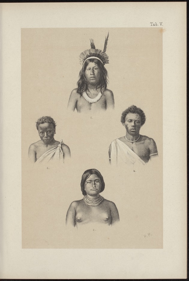 Westindische Skizzen - 