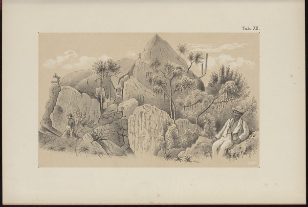 Westindische Skizzen - 