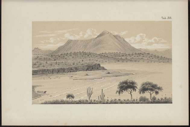 Westindische Skizzen - 