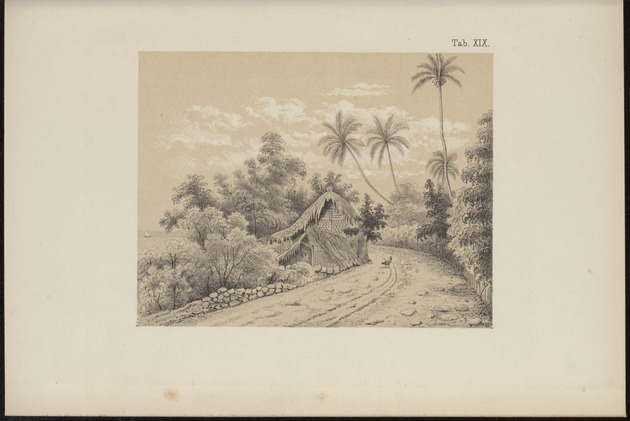 Westindische Skizzen - 