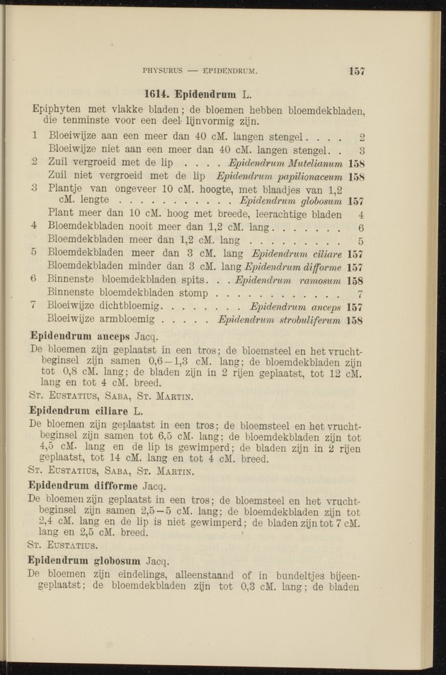 Flora voor de Nederlandsch West-Indische eilanden - 