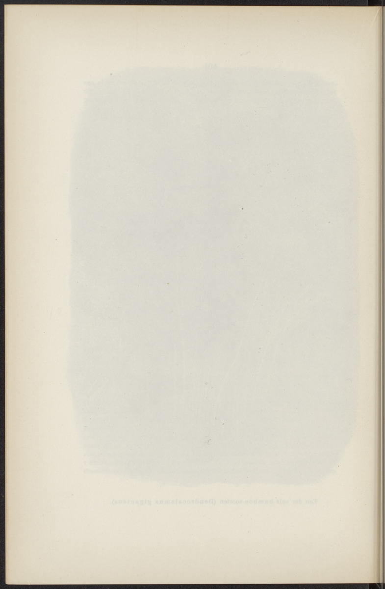 Leerboek der economische aardrijkskunde van het koninkrijk der Nederlanden - 