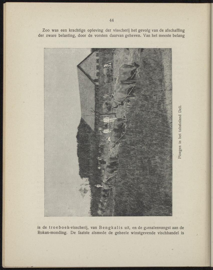 De Oost en de West - 