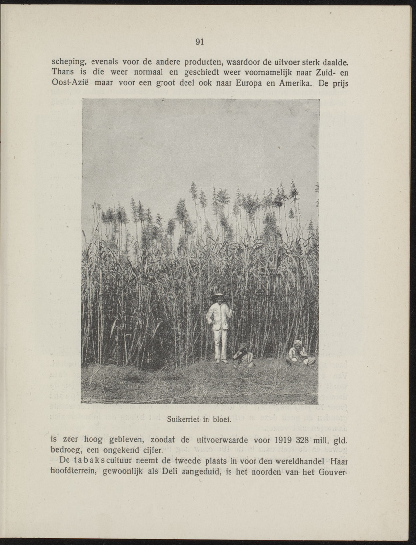 De Oost en de West - 