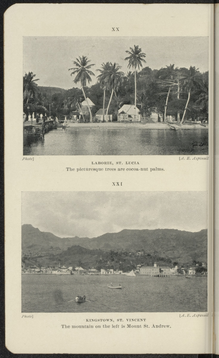 The pocket guide to the West Indies - 