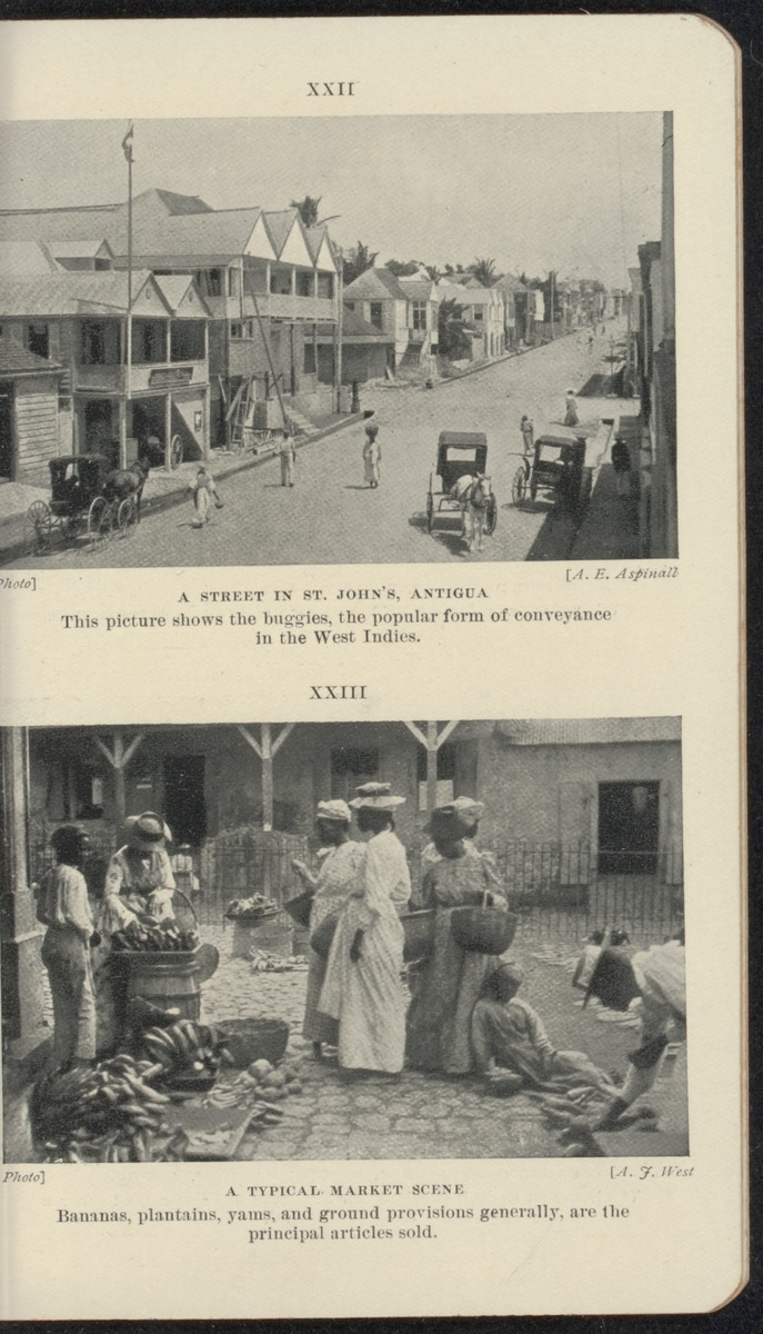 The pocket guide to the West Indies - 