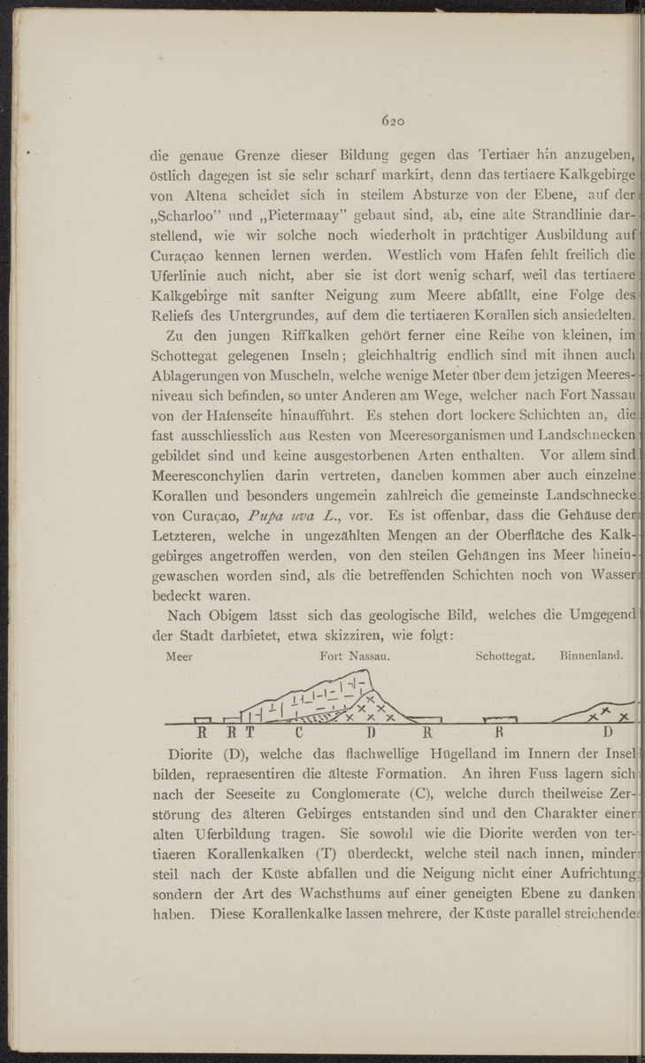 De Nederlandsche expeditie naar de West-Indische eilanden en Suriname 1884-1885 - 