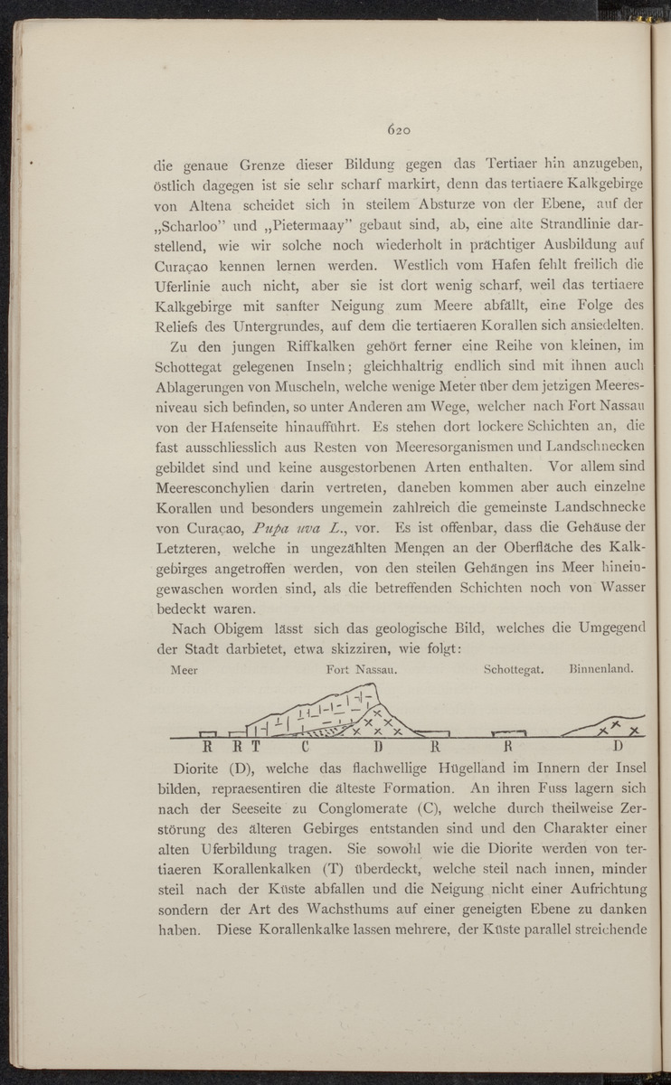 De Nederlandsche expeditie naar de West-Indische eilanden en Suriname 1884-1885 - 