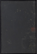 MISSING THUMBNAIL