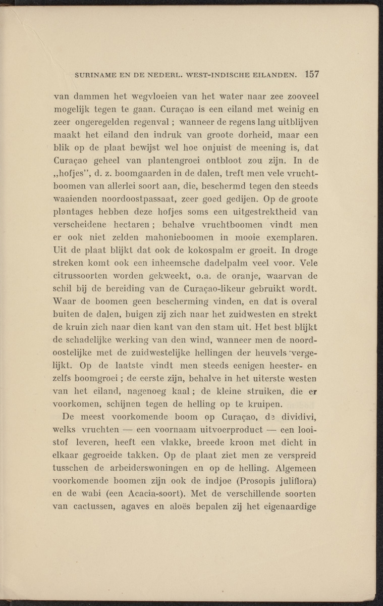 Suriname en de Nederlandsch West-Indische eilanden - 