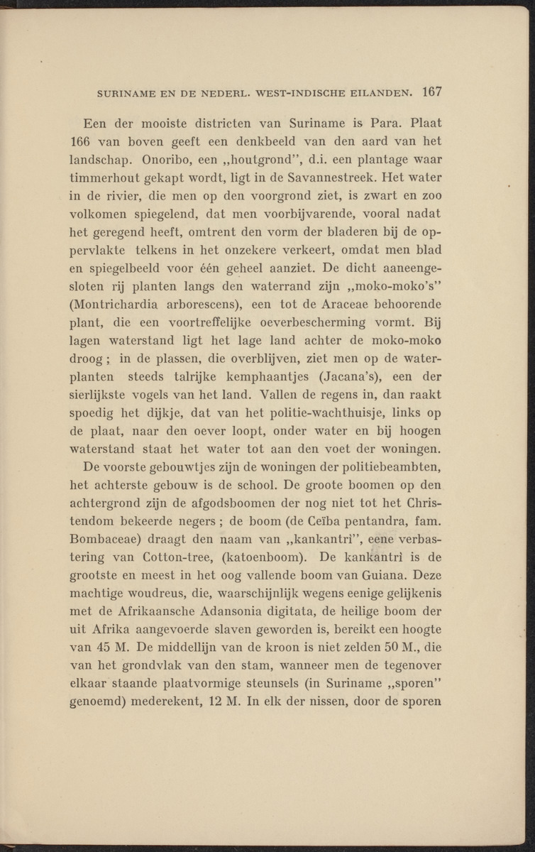 Suriname en de Nederlandsch West-Indische eilanden - 