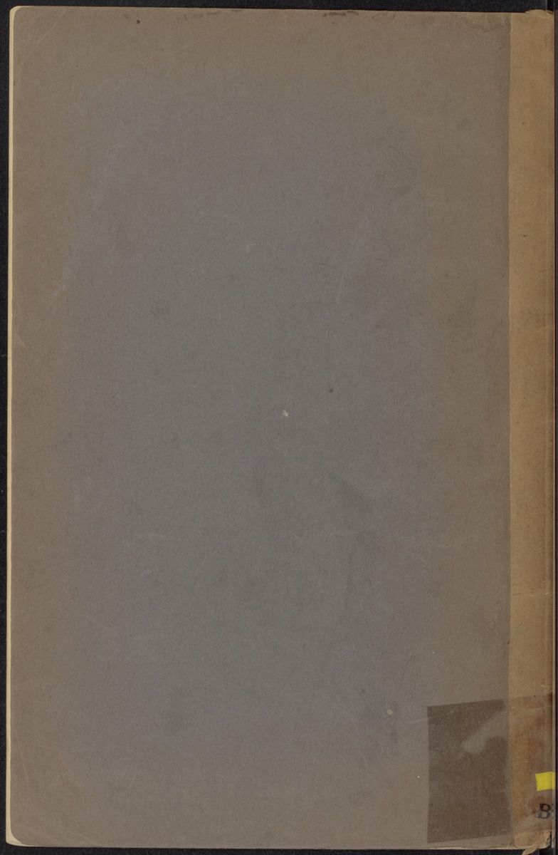 Suriname en de Nederlandsch West-Indische eilanden - 