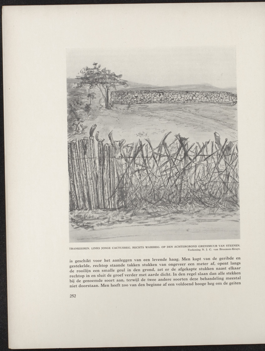 Gedenkboek Nederland-Curaçao 1634-1934 - 