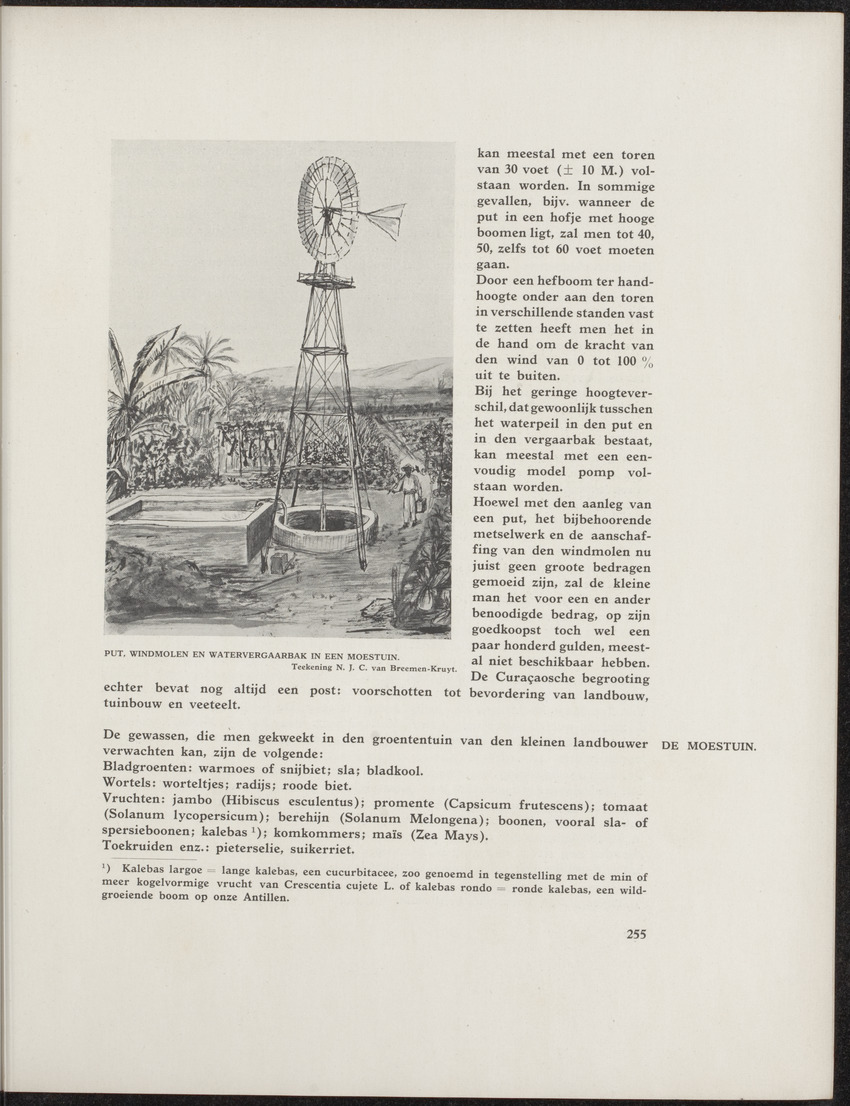 Gedenkboek Nederland-Curaçao 1634-1934 - 