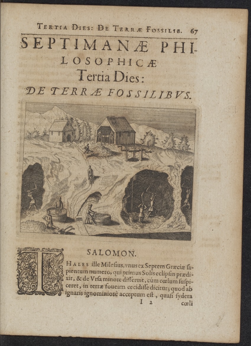Septimana Philosophica, qua Aenigmata aureola de omni naturae genere a Salomone ... et ... Regina Saba, nec non Hyramo ... in modum Colloquii proponuntur & enodantur - 