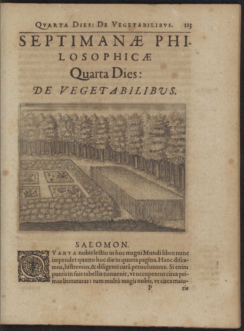 Septimana Philosophica, qua Aenigmata aureola de omni naturae genere a Salomone ... et ... Regina Saba, nec non Hyramo ... in modum Colloquii proponuntur & enodantur - 