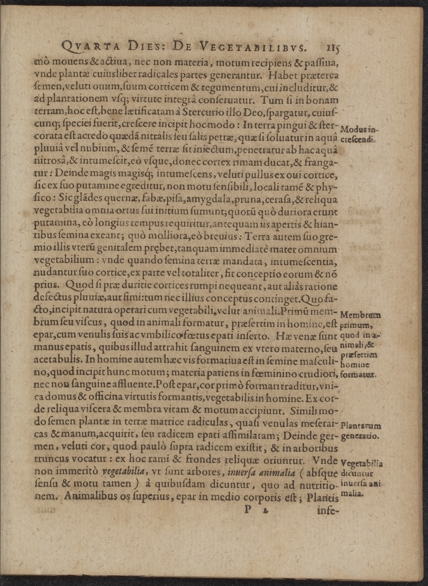 Septimana Philosophica, qua Aenigmata aureola de omni naturae genere a Salomone ... et ... Regina Saba, nec non Hyramo ... in modum Colloquii proponuntur & enodantur - 