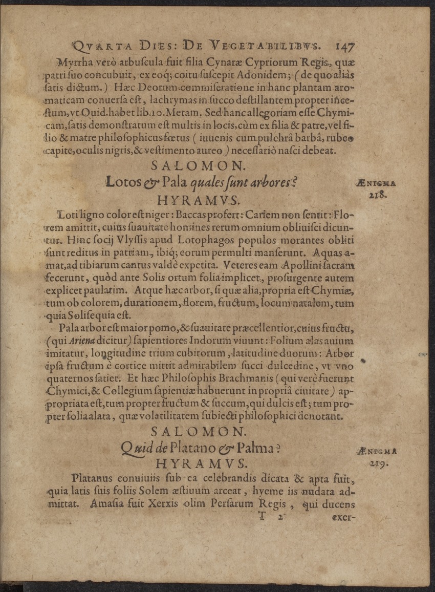 Septimana Philosophica, qua Aenigmata aureola de omni naturae genere a Salomone ... et ... Regina Saba, nec non Hyramo ... in modum Colloquii proponuntur & enodantur - 