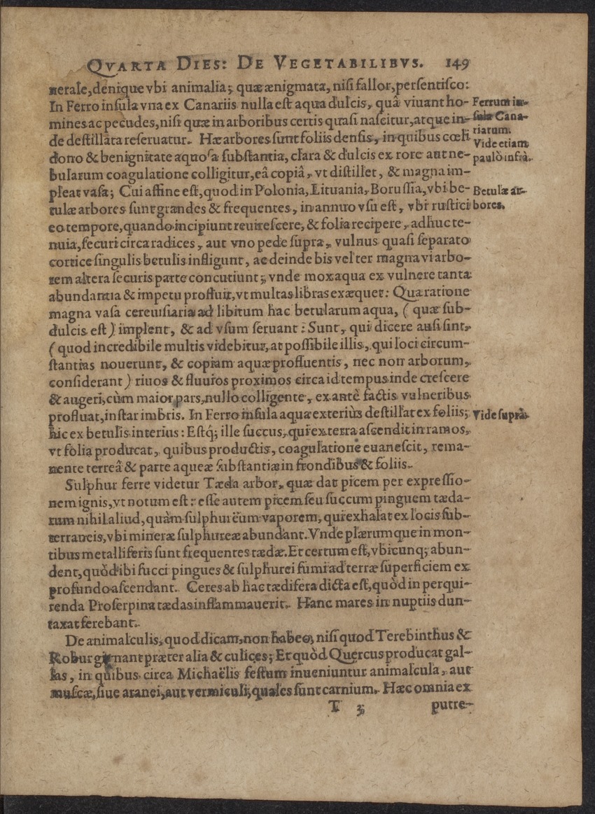 Septimana Philosophica, qua Aenigmata aureola de omni naturae genere a Salomone ... et ... Regina Saba, nec non Hyramo ... in modum Colloquii proponuntur & enodantur - 