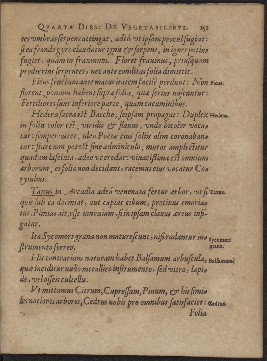 Septimana Philosophica, qua Aenigmata aureola de omni naturae genere a Salomone ... et ... Regina Saba, nec non Hyramo ... in modum Colloquii proponuntur & enodantur - 