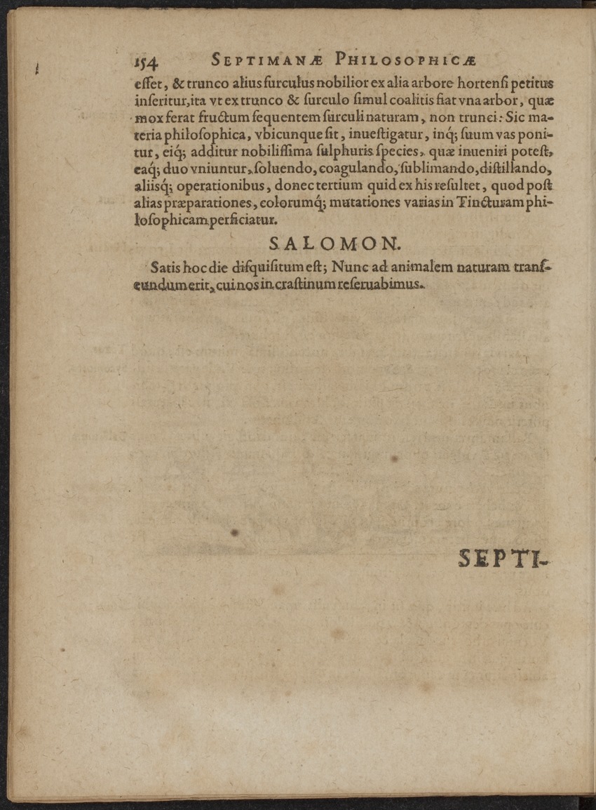 Septimana Philosophica, qua Aenigmata aureola de omni naturae genere a Salomone ... et ... Regina Saba, nec non Hyramo ... in modum Colloquii proponuntur & enodantur - 