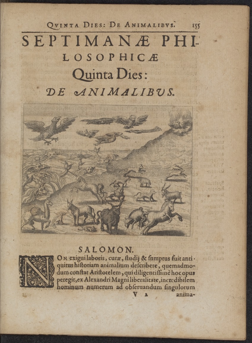 Septimana Philosophica, qua Aenigmata aureola de omni naturae genere a Salomone ... et ... Regina Saba, nec non Hyramo ... in modum Colloquii proponuntur & enodantur - 