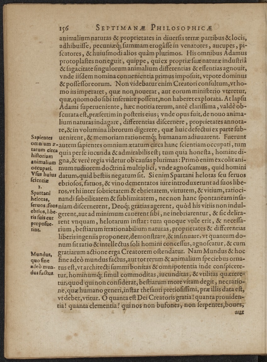 Septimana Philosophica, qua Aenigmata aureola de omni naturae genere a Salomone ... et ... Regina Saba, nec non Hyramo ... in modum Colloquii proponuntur & enodantur - 