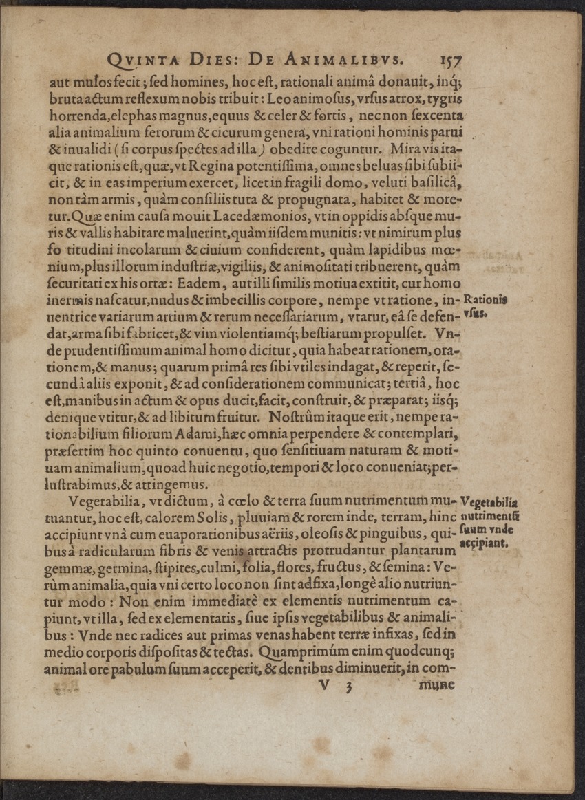 Septimana Philosophica, qua Aenigmata aureola de omni naturae genere a Salomone ... et ... Regina Saba, nec non Hyramo ... in modum Colloquii proponuntur & enodantur - 