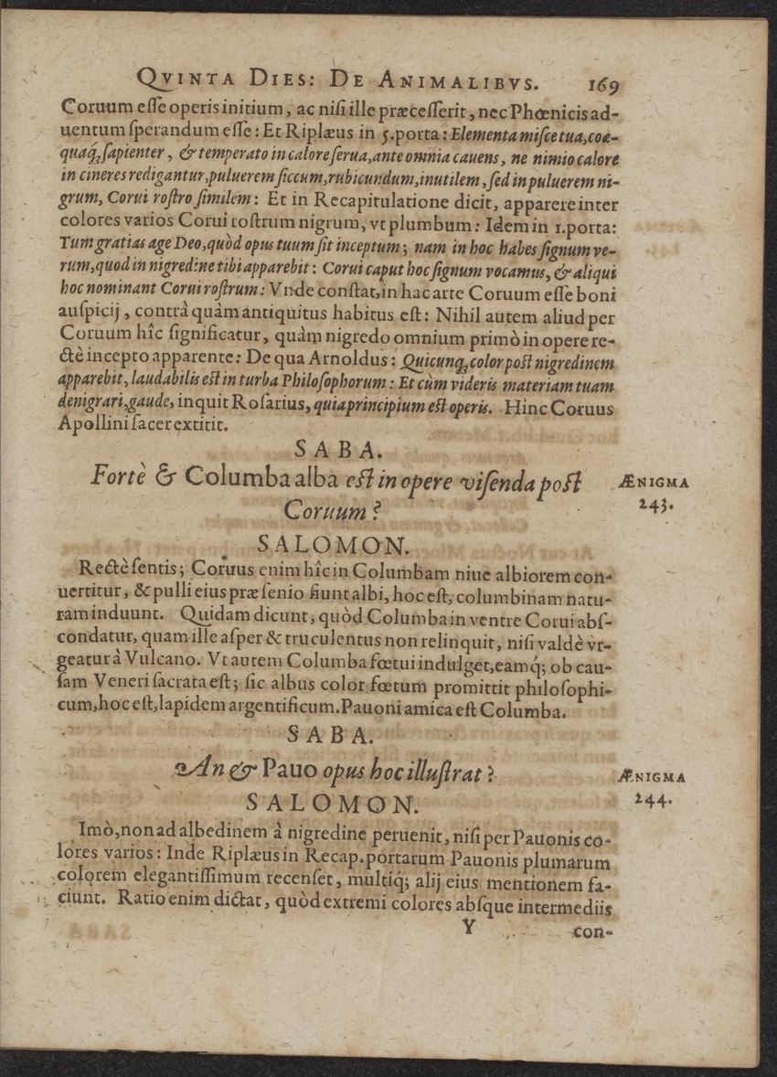 Septimana Philosophica, qua Aenigmata aureola de omni naturae genere a Salomone ... et ... Regina Saba, nec non Hyramo ... in modum Colloquii proponuntur & enodantur - 