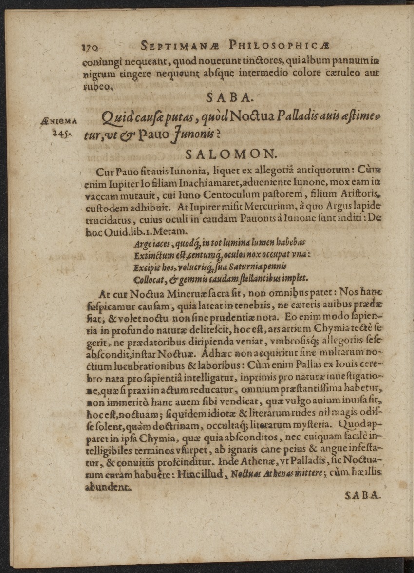Septimana Philosophica, qua Aenigmata aureola de omni naturae genere a Salomone ... et ... Regina Saba, nec non Hyramo ... in modum Colloquii proponuntur & enodantur - 
