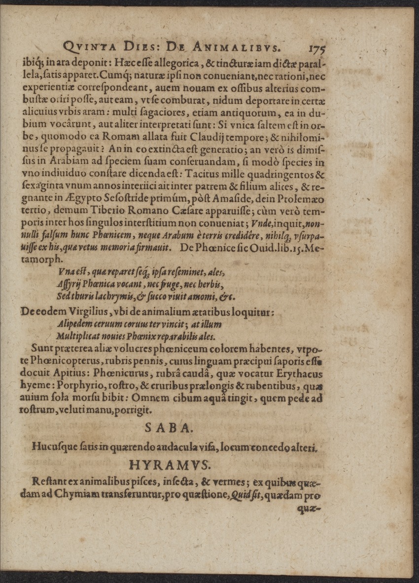Septimana Philosophica, qua Aenigmata aureola de omni naturae genere a Salomone ... et ... Regina Saba, nec non Hyramo ... in modum Colloquii proponuntur & enodantur - 