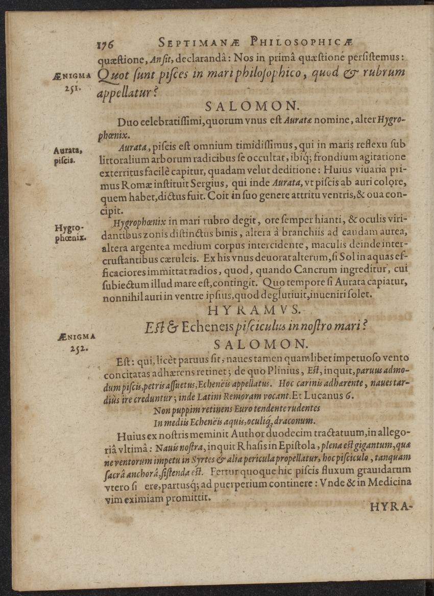 Septimana Philosophica, qua Aenigmata aureola de omni naturae genere a Salomone ... et ... Regina Saba, nec non Hyramo ... in modum Colloquii proponuntur & enodantur - 