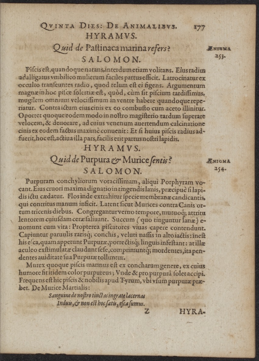 Septimana Philosophica, qua Aenigmata aureola de omni naturae genere a Salomone ... et ... Regina Saba, nec non Hyramo ... in modum Colloquii proponuntur & enodantur - 