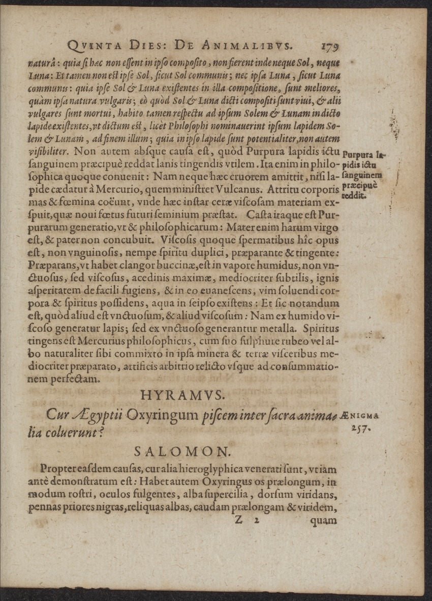 Septimana Philosophica, qua Aenigmata aureola de omni naturae genere a Salomone ... et ... Regina Saba, nec non Hyramo ... in modum Colloquii proponuntur & enodantur - 