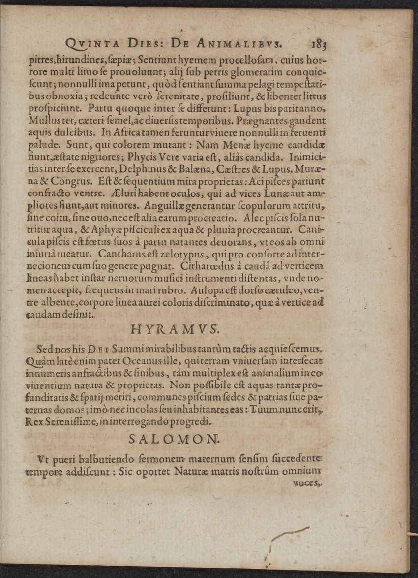Septimana Philosophica, qua Aenigmata aureola de omni naturae genere a Salomone ... et ... Regina Saba, nec non Hyramo ... in modum Colloquii proponuntur & enodantur - 
