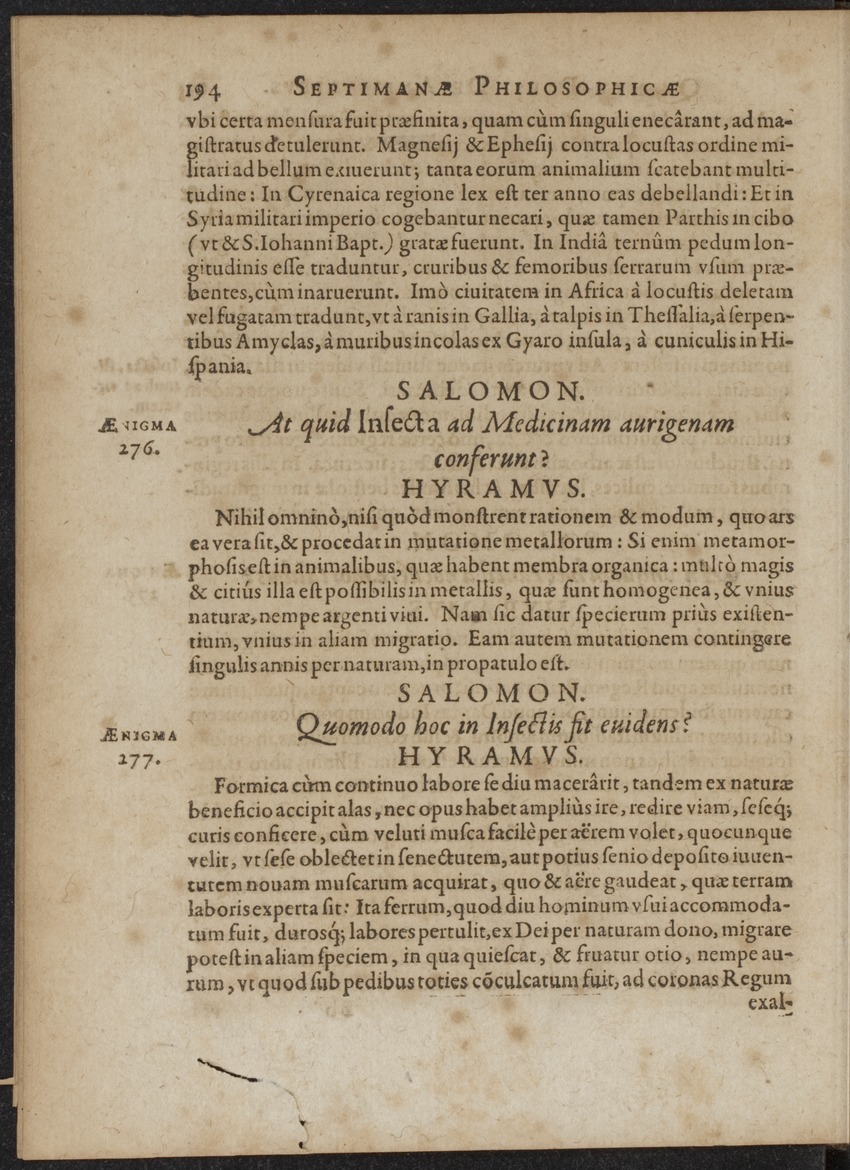 Septimana Philosophica, qua Aenigmata aureola de omni naturae genere a Salomone ... et ... Regina Saba, nec non Hyramo ... in modum Colloquii proponuntur & enodantur - 