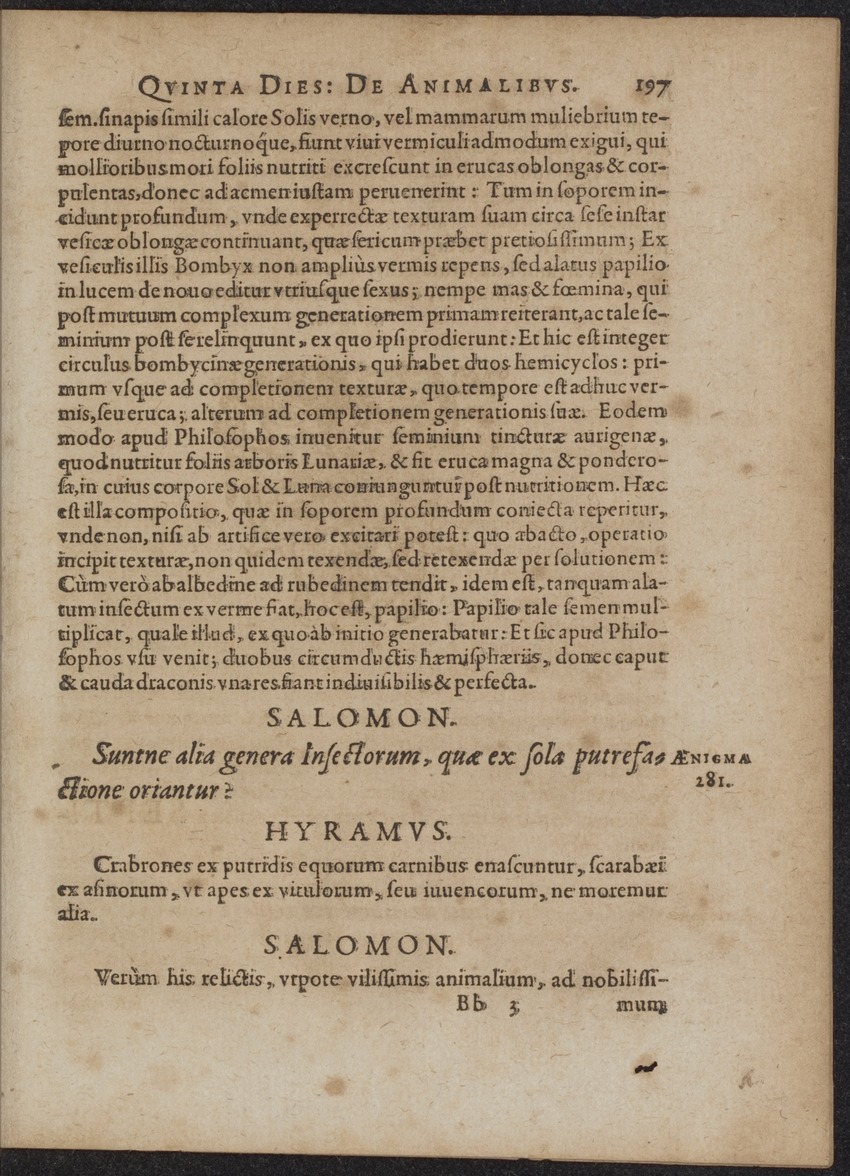 Septimana Philosophica, qua Aenigmata aureola de omni naturae genere a Salomone ... et ... Regina Saba, nec non Hyramo ... in modum Colloquii proponuntur & enodantur - 