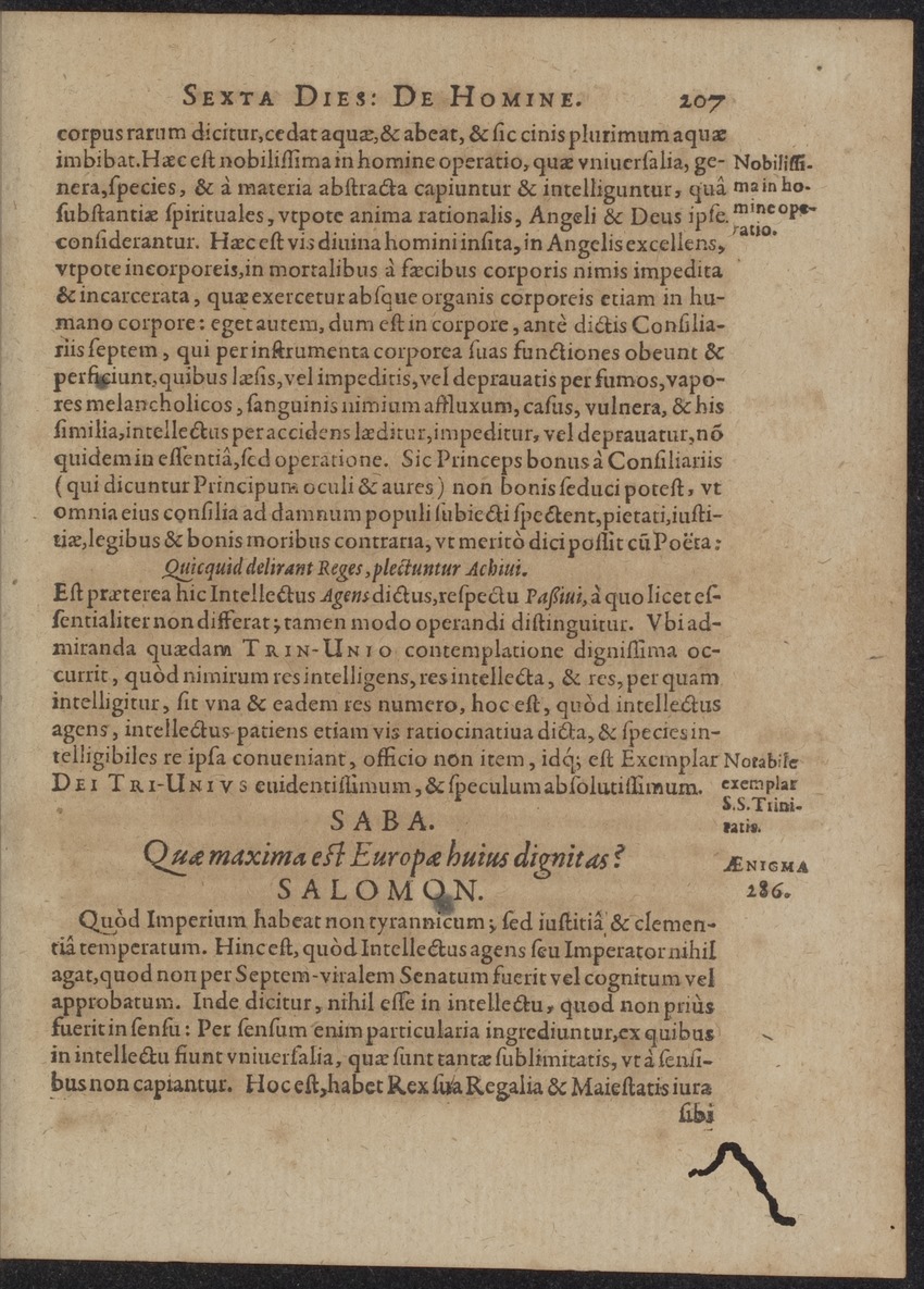 Septimana Philosophica, qua Aenigmata aureola de omni naturae genere a Salomone ... et ... Regina Saba, nec non Hyramo ... in modum Colloquii proponuntur & enodantur - 