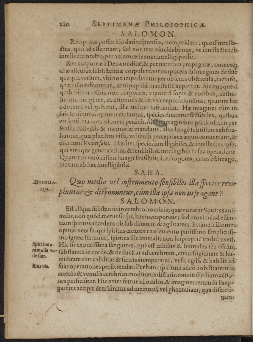 Septimana Philosophica, qua Aenigmata aureola de omni naturae genere a Salomone ... et ... Regina Saba, nec non Hyramo ... in modum Colloquii proponuntur & enodantur - 